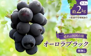 【2026年先行予約】 ぶどう 岡山県産 オーロラブラック （ 種無し ）約2kg（3～5房） 《2026年9月上旬-中旬頃出荷》 葡萄 ブドウ フルーツ 果物 スイーツ 数量限定 期間限定 岡山 里庄町 果物類 