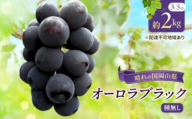 【2026年先行予約】 ぶどう 岡山県産 オーロラブラック （ 種無し ）約2kg（3～5房） 《2026年9月上旬-中旬頃出荷》 葡萄 ブドウ フルーツ 果物 スイーツ 数量限定 期間限定 岡山 里庄町 果物類 