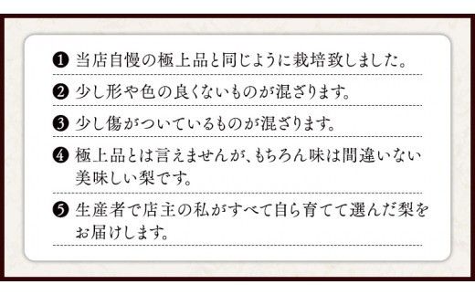 芳醇な味と香り 『 にっこり 』 5kg ( 自家用 ) 2026年産 先行予約 フルーツ 果物 国産 日本産 梨 ナシ なし 和梨 [DJ004ci]