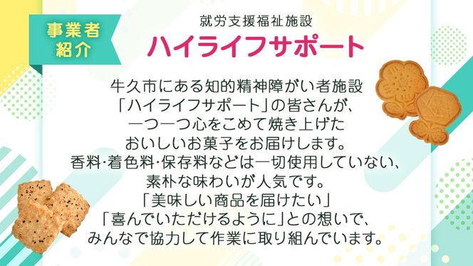 《 2025年 干支 》 巳 （み）モチーフ クッキー 10枚 詰合せ お菓子 子ども おやつ 焼き菓子 洋菓子 プレーン 手作り 福祉施設 迎春 新年 巳 干支 お年賀 新年 の あいさつ 令和7年 [ET005us]