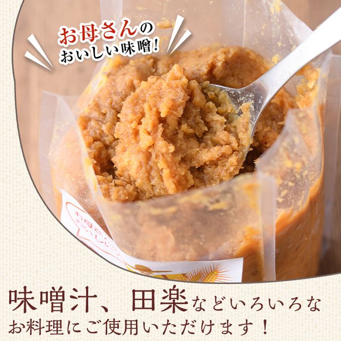＜定期便・全3回＞ お母さんのおいしい麦味噌 (計12kg・4kg×3回) みそ 調味料 味噌 みそ汁 手作り 味噌汁 お味噌汁 朝ごはん ミソ 小分け 母の味 定期便 【阿久根市生活研究グループ】akn072-05