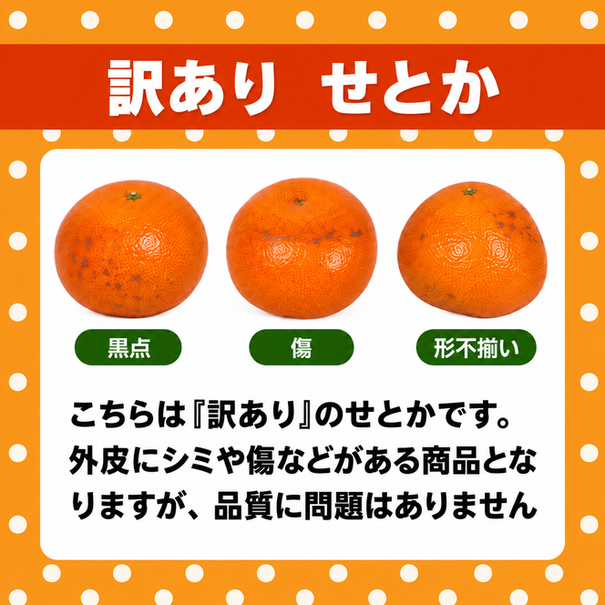 【先行予約】訳あり せとか 3kg 柑橘の大トロ かんきつ みかん 柑橘 みかん 蜜柑 完熟みかん おやつ 家庭用みかん 箱入りみかん ご家庭用みかん 果物 くだもの 果実 愛媛県 愛南町 みかん職人武田屋