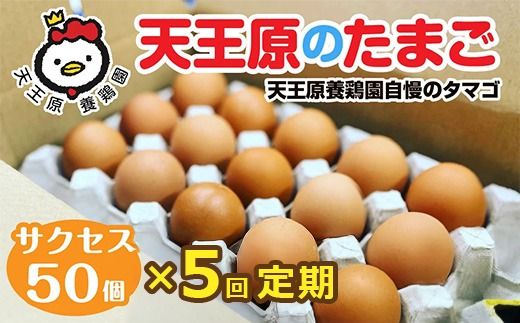 【定期便】5回定期 【天王原のたまご】 サクセス卵 50個入り 【定期便 5回定期便 セット たまご 卵 玉子 タマゴ 濃厚 ハリ 弾力 ボリューム 甘味 旨味 卵黄 風味 生 コク 甘味 卵かけご飯 卵焼き 目玉焼き オムレツ 茶碗蒸し お菓子作り パンの材料】