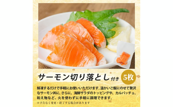 生食用 サーモン ブロック(計1kg・250g×4P)サーモン切り落とし5枚付き 鮭 小分け 真空 パック 冷凍 刺身 シャケ サケ 魚 魚介 【AW-100】【丸正水産】