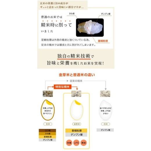 【 金芽米 】愛知県 美浜町産 にじのきらめき 5kg 無洗米｜きんめまい 米 お米 美浜町 糖質オフ BG無洗米 新米※北海道・沖縄・離島への配送不可