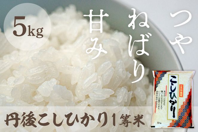 令和8年産　丹後こしひかり 5kg 1等米　	MU00095