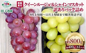 【数量限定】クイーンルージュ®＆シャインマスカット 訳あり パック詰め 合計約800g (約400g×各1パック) 《田子農園》■2025年発送■※9月上旬頃～11月上旬頃まで順次発送予定