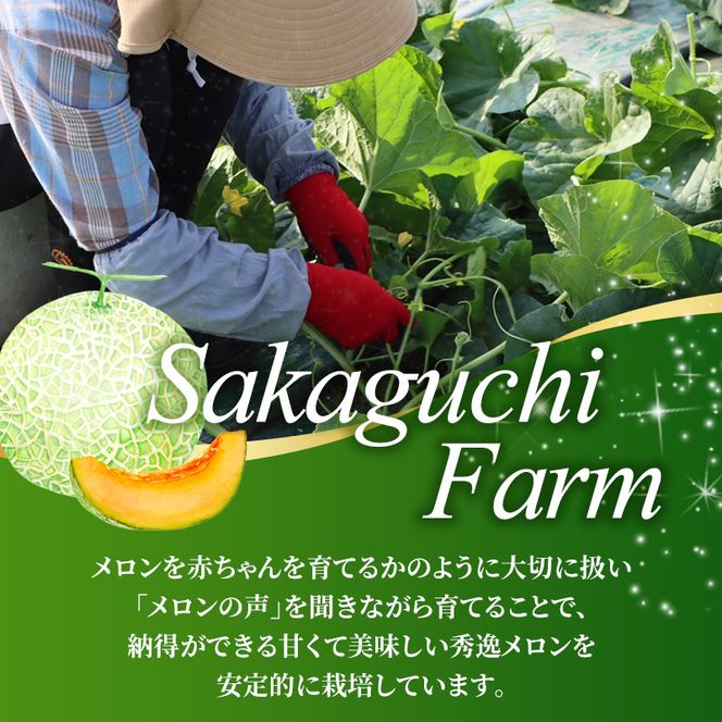 【2026年夏発送】〈桐箱入〉富良野メロン 山部の絶品『鳳凰』3L 2玉 計4kg以上 メロン 大玉 赤肉 北海道