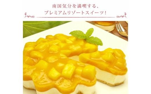 お誕生日ケーキ　マンゴー レア チーズケーキ 5号 4-6人分　パティスリー天使のおくりもの ※離島への配送不可