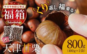 【福箱★2027】【くり返し福来る！】 年末年始限定発送 この道50年の職人が焼く､やさしい甘みたっぷり！｢天津甘栗｣800g H045-112