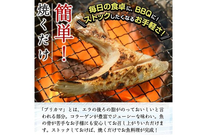＜お試し用＞ひもの丸丁の塩ブリカマ(3～4枚入り)×2パック　大分県産 国産 ブリ ぶり 鰤 養殖ブリ 新鮮 鰤かま 冷凍 大分県 佐伯市【DH254】【ネクサ】