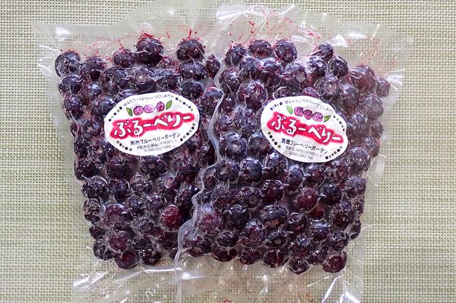 【男鹿ぶるーべりーガーデン】 冷凍ブルーベリー 250g×2パック（合計500g）秋田県 男鹿市|23_sea-020501