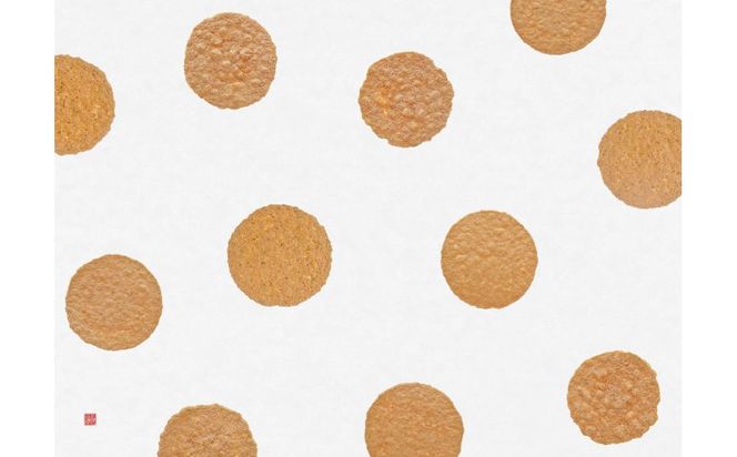 桂新堂 炙り焼き詰合せ（27袋入） 232238_Z025-PR