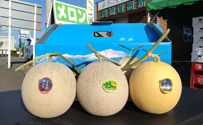 【2026年夏発送】 メロン 期間限定！　数量限定 3種 食べ比べ! 富良野メロン赤・青・黄 セット 計3玉 北海道 ふらの めろん 果物 フルーツ 甘い ジューシー