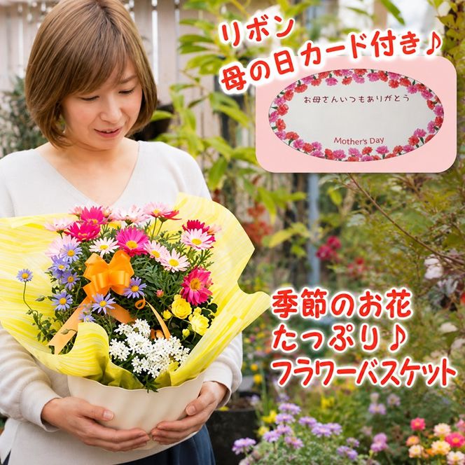 2027年【母の日 ギフト】季節のフラワーバスケット【白鉢】（オンライン決済限定） 花 