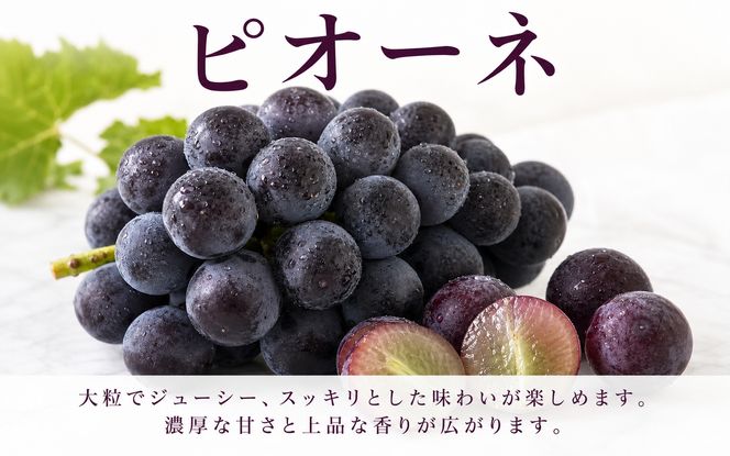 【全3回】紀州和歌山産旬のフルーツ定期便 (桃・梨・ピオーネ) / フルーツ 柑橘 和歌山 もも モモ 梨 なし ぶどう 葡萄 シャインマスカット ピオーネ 紫苑 【tkb424】