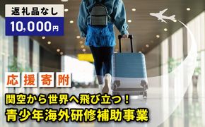 ON0032 【返礼品なし】関空から世界へ飛び立つ！青少年海外研修補助応援寄附（大阪府泉佐野市）