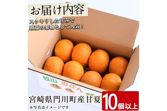＜先行予約受付中！2026年3月下旬～5月末の間に発送予定＞宮崎県門川町産甘夏(10個以上) 柑橘 果物 数量限定 期間限定 国産 フルーツ 常温 保存 遠見半島 【勝農園】【AE-21】
