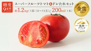 日本野菜ソムリエ協会開発 ドレたれセット！ スーパーフルーツトマト 中箱 約1.2kg × 1箱 【 大玉 12～15玉/1箱】 糖度9度 以上 ドレッシング たれ とまと トマト フルーツトマト 野菜 セット [AF001ci]