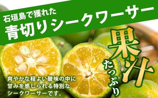 【先行予約】≪2026年8月以降順次発送≫ こだわりの青切りシークワーサー 900g 約30～40個 【 産地直送 沖縄 石垣島 石垣 八重山 シークワーサー 柑橘 フルーツ くだもの 果物 】TF-007