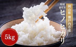 令和7年産 特別栽培米 ヒノヒカリ 5kg 精米 白米 米 お米 コメ おこめ ひのひかり 岡山 瀬戸内市