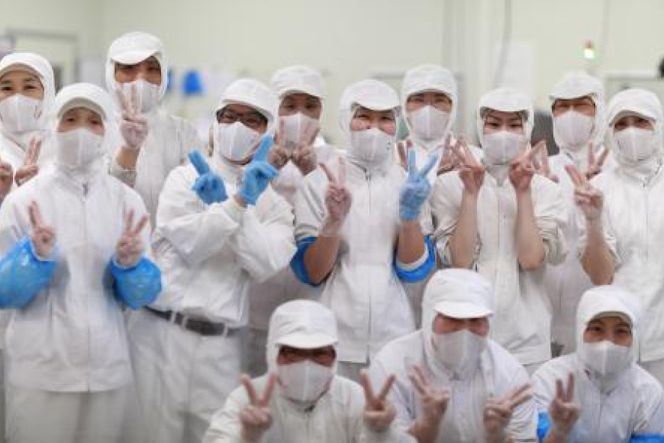 CI174  岩崎本舗 長崎角煮まんじゅう 8個入 (袋)