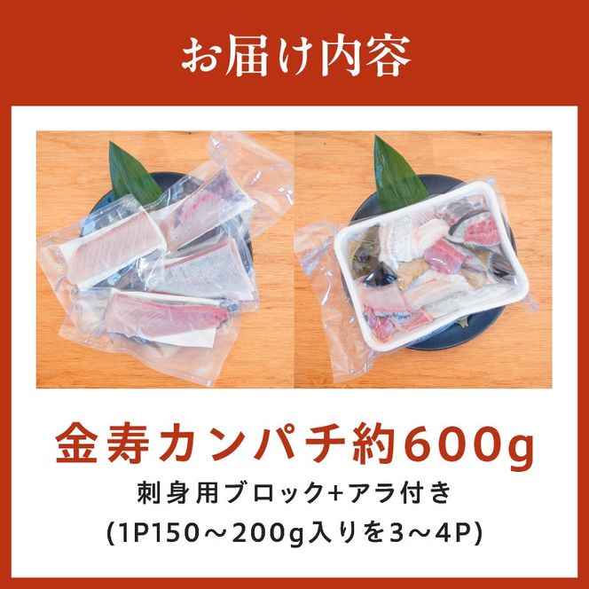 金寿カンパチ600ｇアラ付き（刺身用ブロック＋アラ付き） N015-YB091