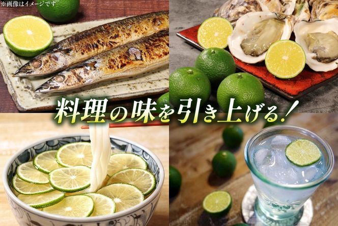 【期間限定発送】 訳あり  採れたてへべす 5kg [かくちゃん農園 宮崎県 日向市 452060673] 果物 柑橘 へべす 平兵衛酢 ヘベス 期間限定 数量限定 規格外 家庭用 果汁 香酸柑橘 調味料 宮崎 ビタミンC アミノ酸 国産 種が少ない