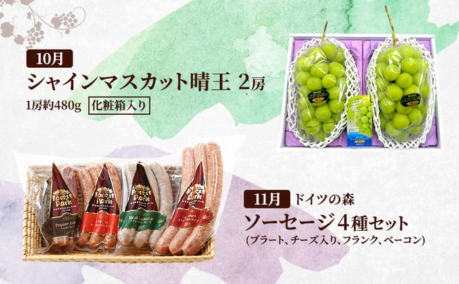 定期便 2026年 先行予約 ドイツの森の人気商品と岡山の人気果物 堪能 5回コース 桃 白桃 ビール ぶどう ピオーネ シャインマスカット ドイツの森 ソーセージ 赤磐市