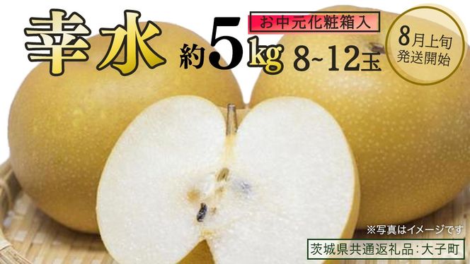 【 お中元 化粧箱入り】 幸水 約5kg (8～12玉)【2026年8月上旬発送開始】(茨城県共通返礼品：大子町) 梨 なし 果物 くだもの フルーツ
