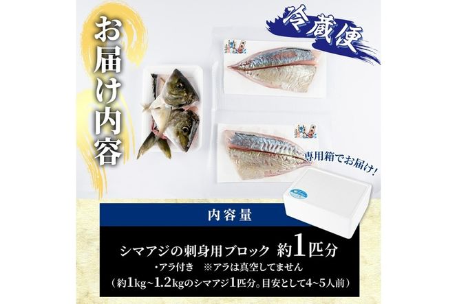 シマアジ 刺身用 ブロック 冷蔵(1匹分・4-5人前)シマアジ しまあじ 神経締め 獲れたて 鮮魚 ブロック 刺身 冷蔵 海の直売所 大分県 佐伯市【AS134】【海べ (株)】