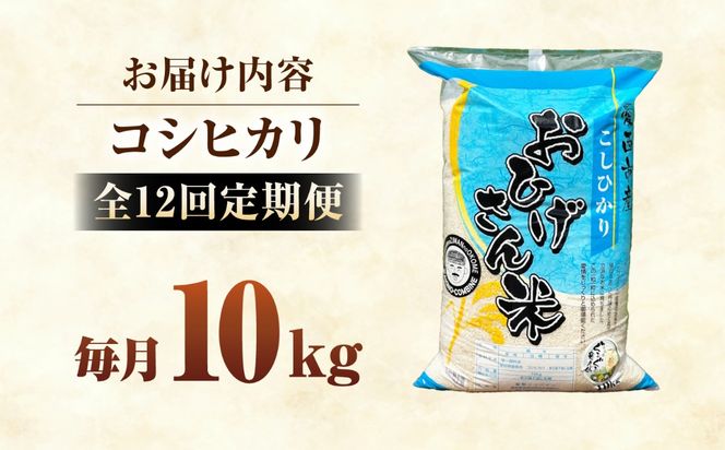 【12回定期便】コシヒカリ 白米 10kg×12か月 / 脇野コンバイン[AECP029]