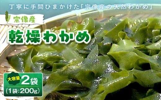 y@sz@Y Jbg킩߁ỷwނȂz_HA0447