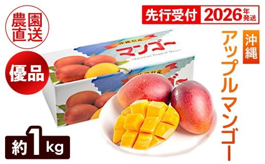 yꌧdzyϔzystE2026Nz}g_ Abv}S[1kgiDij- s\ ꌧY Yn 썑t[c {̖o G߂̉ʕ 蕨 Mtg ꌧ d