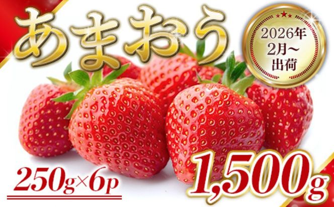 いちご 福岡県産 あまおう 1500g (250g×6パック) 先行予約 2026年2月より順次発送 果物 デザート ※配送不可：離島 