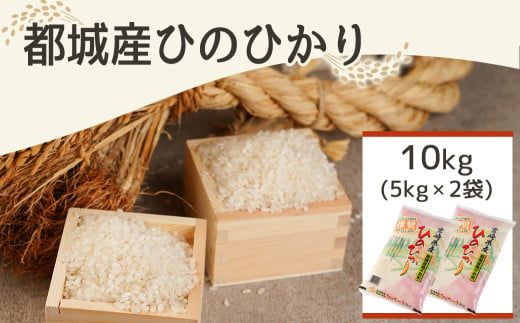 みやこんじょ育ち都城産ひのひかり10kg≪みやこんじょ特急便≫_33-K701-Q