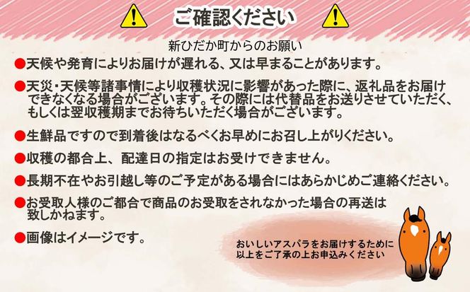 ＜2026年4月中旬より順次発送＞ 北海道産 春採り グリーン アスパラガス 1kg Mサイズ ＜予約受付＞
