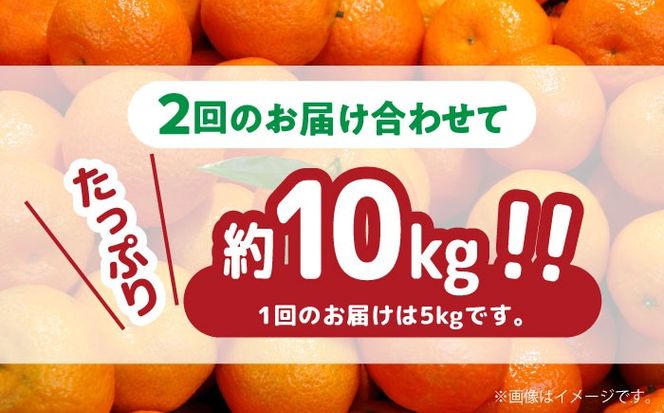 【2024年12月〜発送】【訳あり 2回 定期便 】 温州みかん 約5kg（傷もの） / みかん 南島原市 / 南島原果物屋 [SCV018]