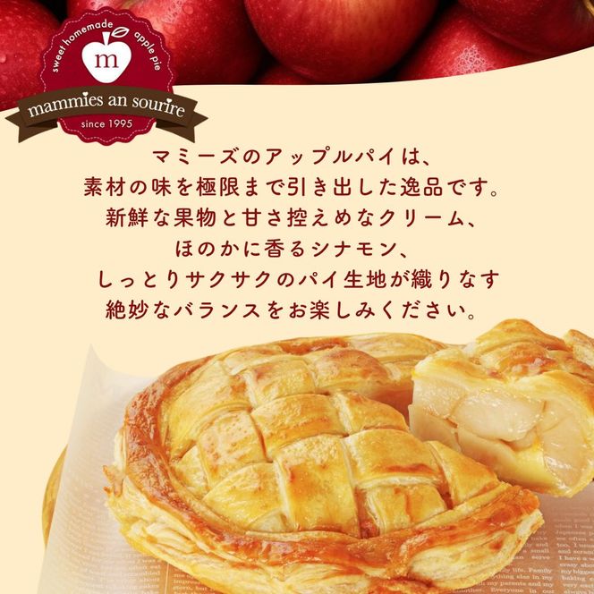 アップルパイ大ホール（20cm）山ノ内町 スイーツ お取り寄せ