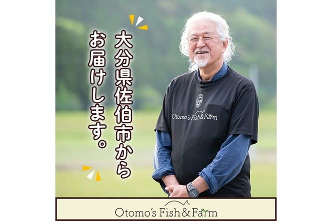 ブリのからすみ ブリッタルガ パウダー (計120g・30g×4P) からすみ ボッタルガ 小分け 鰤 真子 魚卵 パスタ お酒のおつまみ 大分県 佐伯市 【GL001】【オートモズフィッシュアンドファーム】
