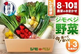 a20-447　【定期便 全2回】ジモベジ 野菜 セット