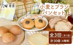 【 全3回 定期便 】栽培期間 農薬 科学肥料 不使用 小麦 と ブラン の パン セット ( 卵 / 乳製品 不使用 )《糸島》【天然パン工房楽楽】【いとしまごころ】[AVC018] パン 国産 詰め合わせ セット 卵 乳製品 不使用 冷凍 ブラン