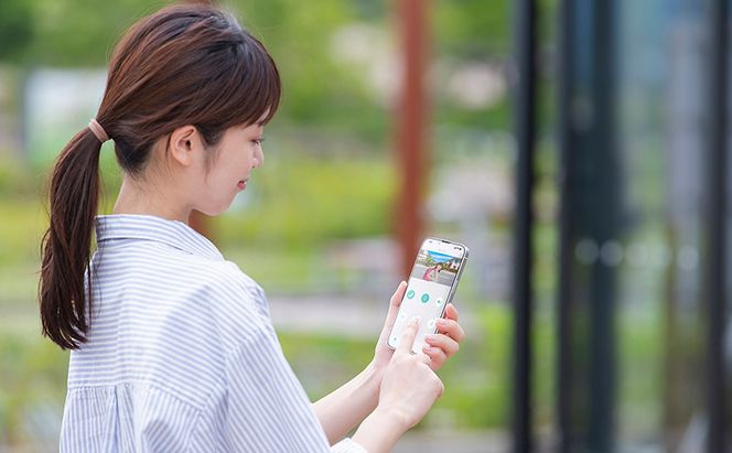 インターホン テレビドアホン TD-SM5030CT-BSH ブラックフレーム/ガンメタリック アイリスオーヤマ スマホ 対応 連動 自動録画 録画 カメラ付き 録画機能 防犯カメラ 監視カメラ 防犯 モーション検知 動体検知 雑貨 日用品 