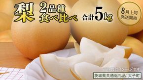【食べ比べ】 梨 2品種 合計 約5kg 【2026年8月上旬発送開始】 (茨城県共通返礼品：大子町) なし 果物 くだもの フルーツ おまかせ 旬