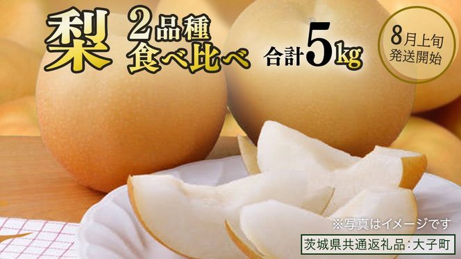 【食べ比べ】 梨 2品種 合計 約5kg 【2026年8月上旬発送開始】 (茨城県共通返礼品：大子町) なし 果物 くだもの フルーツ おまかせ 旬