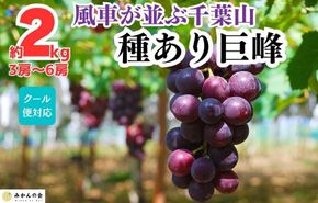 ぶどう 巨峰 種あり 2kg 3～6房 和歌山県産 クール便対応 【みかんの会】AX289