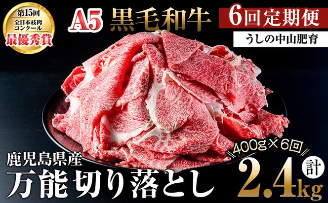yuzuszy֑S6zA4EA5јa\؂藎Ƃ v2.4kgi400g×1PES6j t0072-005