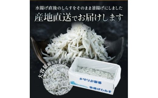 訳あり 釜揚げしらす 1kg(箱入り)こだわりの塩で減塩・甘塩仕上げ 少し大きめのシラス