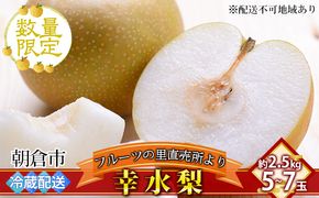 梨 フルーツの里の直売所より 幸水梨 2.5kg ナシ 果物 先行予約 子供 おやつ くだもの ※配送不可：離島