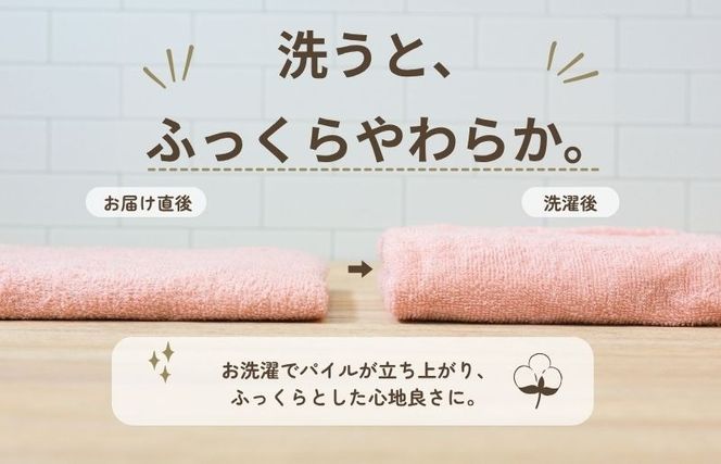 015B687 デイリーフェイスタオル 10枚セット (ピンクベージュ・サンドベージュ）【国内製造 日本製 泉州タオル スーピマコットン 無地 吸水力 耐久性】